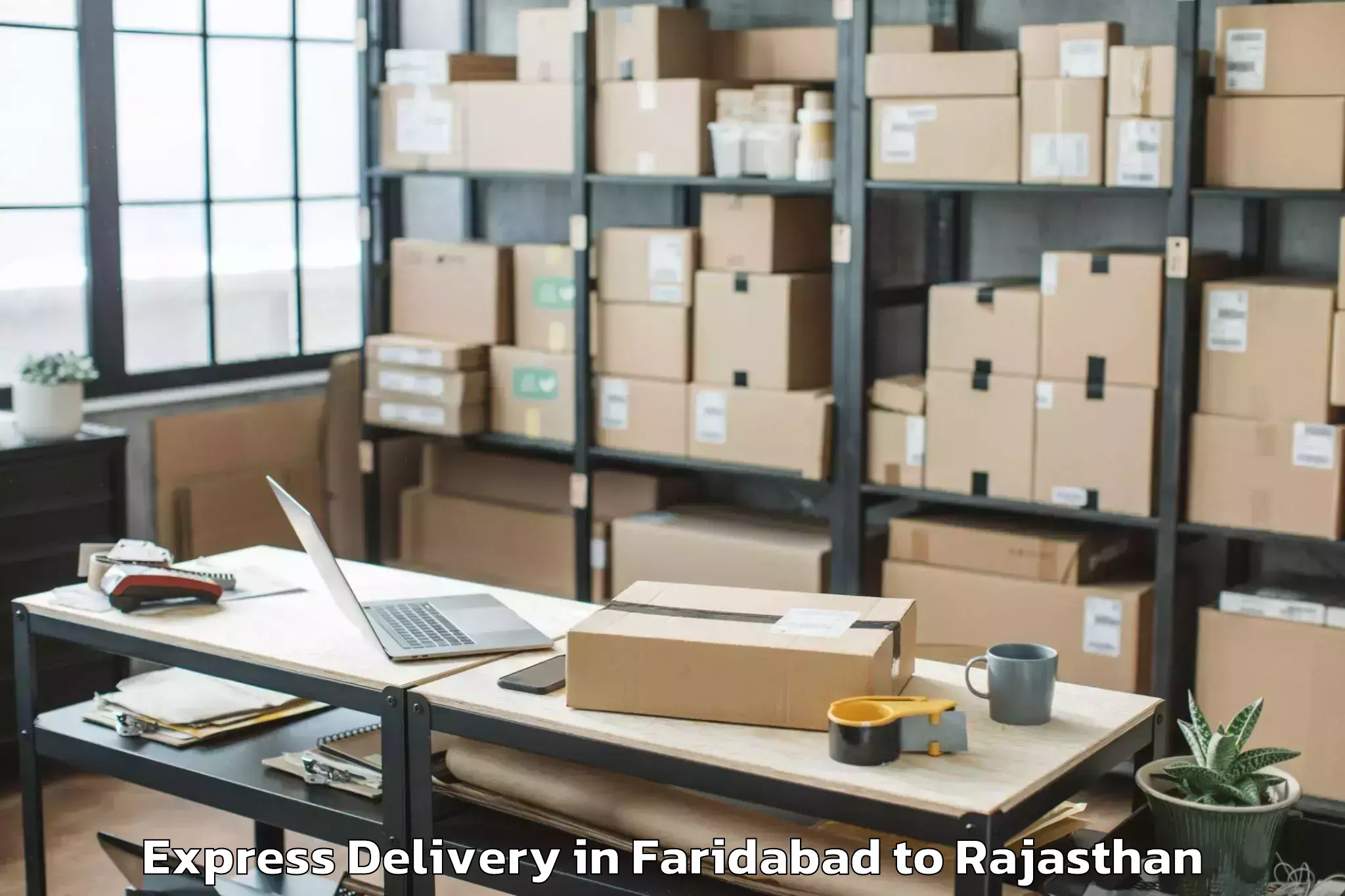 Hassle-Free Faridabad to University Of Rajasthan Jaipur Express Delivery